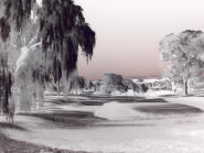 4th green Lithgow Golf Club - Infra Red